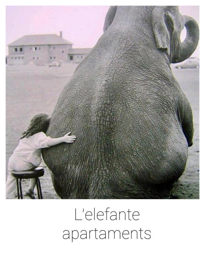 Elefante Appartamenti Pescara Exterior photo
